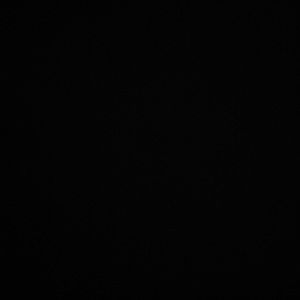 True Religion Belt Size 36